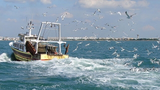 Il n est pas rare de croiser un chalutier